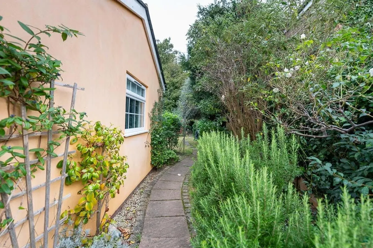 Villa Peaceful Oasis 3 Beds House With Garden And Parking Cambridge Reino Unido